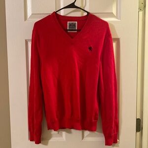 Express V Neck Sweater